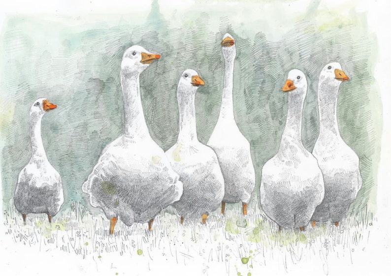 Blank Card Looking for Trouble white farmyard geese image 5
