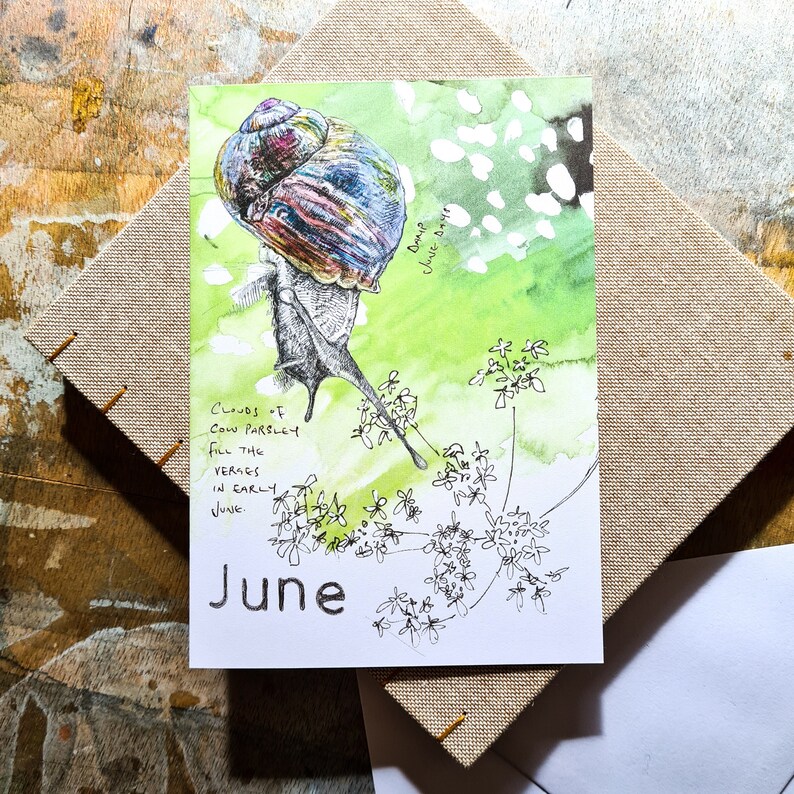 The June card has an illustration of a snail with a colourful shell on a watercolour green background.  There is a pen sketch of cow parsley.  The card is photographed on a linen covered sketchbook on a wooden drawing board.