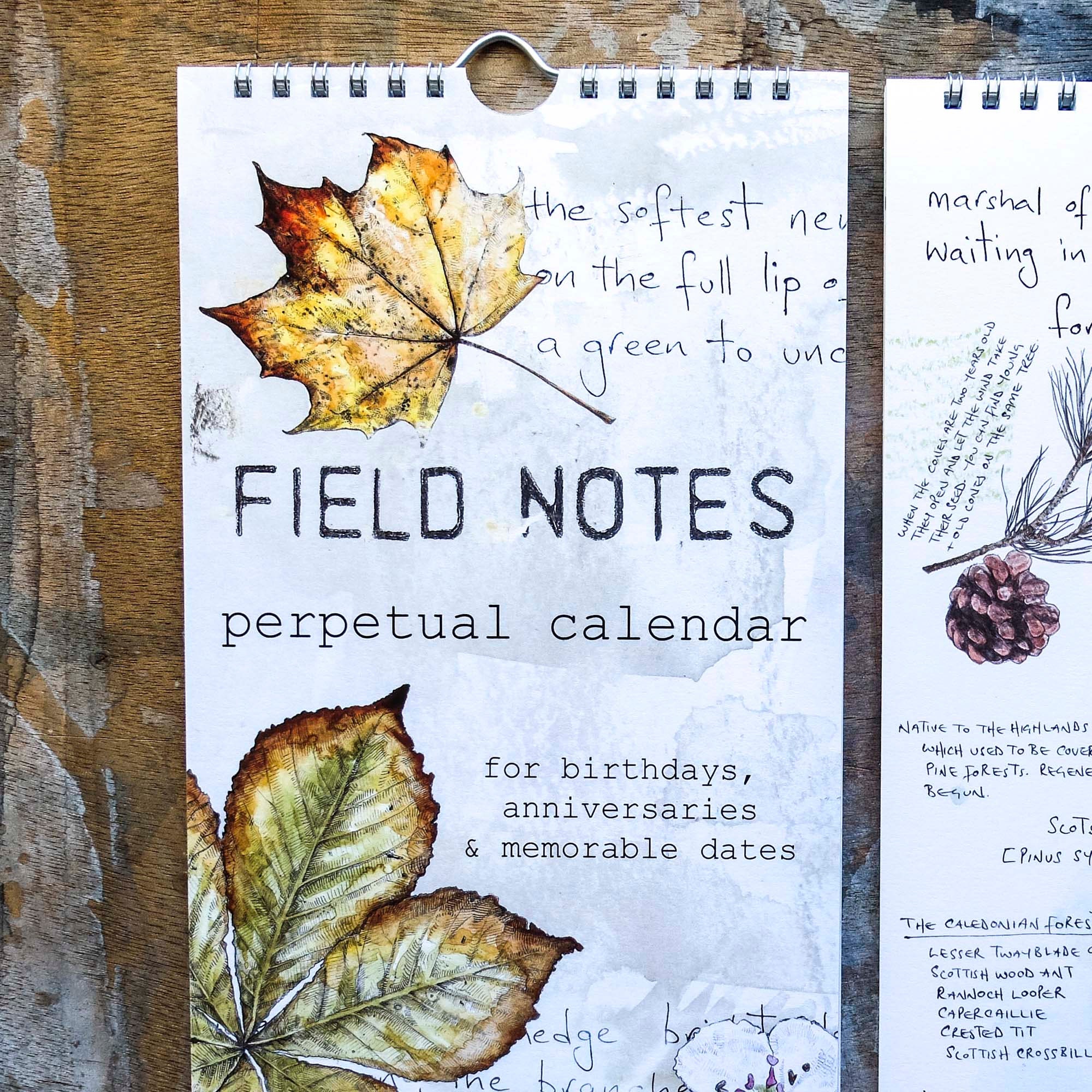 Field Notes Eeuwigdurende kalender voor verjaardagen jubilea - Etsy België