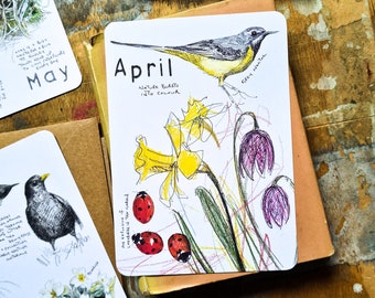 2024 Wild Months Ansichtkaartenpakket (set van 12) - één voor elke maand - natuurkaarten, natuurprints, natuurlijk jaar