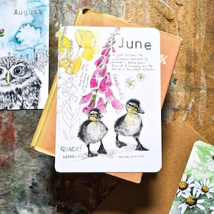 2025 Wild Months Postcards Pack (Set of 12)- one for each month - wildlife postcards, wildlife prints, natural year