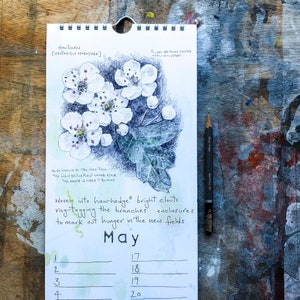 Field Notes Perpetual Calendar for birthdays, anniversaries and important dates