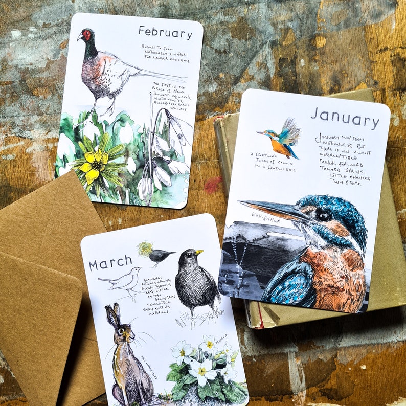 2024 Wild Months Postcards Pack Set of 12 one for each month wildlife postcards, wildlife prints, natural year image 5
