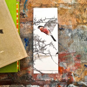 May include: A watercolor illustration of a bird in flight against a white background. The bird is brown, red, and white with a long tail. The bird is flying over a bare tree branch.