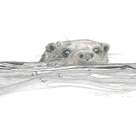 print otter in water etsy etsy