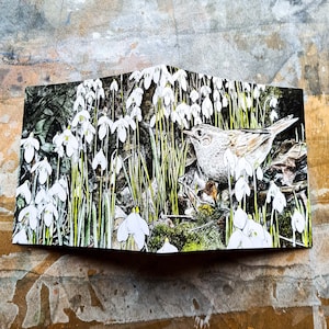 Carte Perce-neige - Carte cadeau Un jardin pour la faune