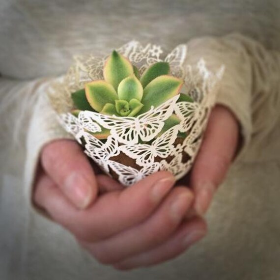 25 Wedding Cupcake Liners Fancy Cupcake Wrappers Laser Cut Etsy