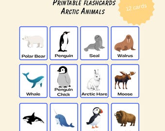 Cartões de animais do Ártico para crianças pequenas | Animais polares para imprimir | PDF para aprendizagem pré-escolar