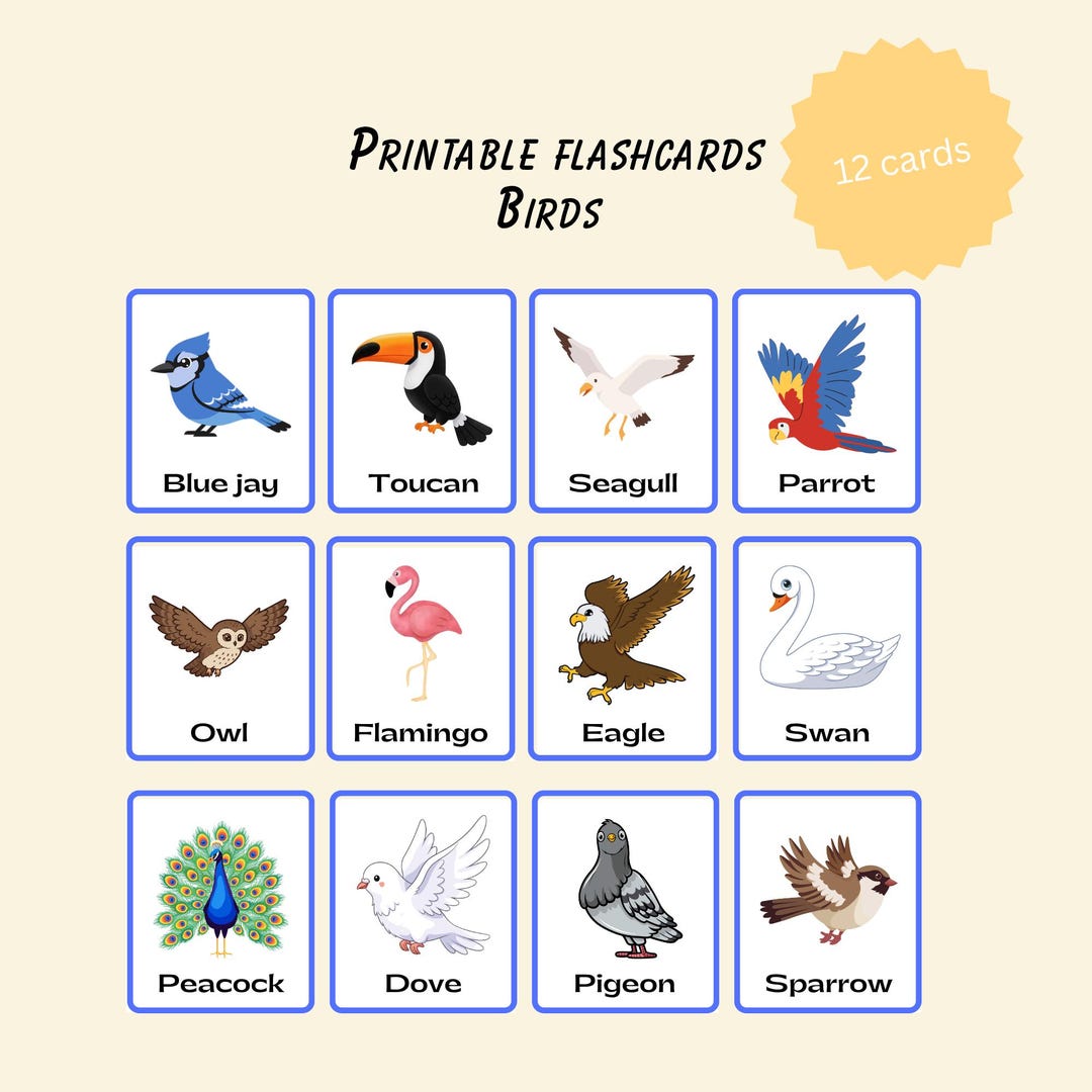 Bird Flashcards for Kids | 12 Printable Bird Cards | Preschool Learning ...