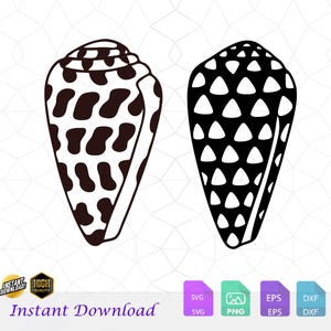Hebrew Cone Shell SVG, Beach Shell SVG, Shell SVG, Digital Download, Shell Clip Art, Cone Shell Png, Hawaii Shell Svg, Shell Dxf
