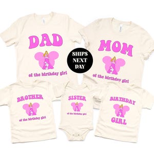 Birthday Girl Princess Shirt, Pink Aurora Matching Family Gift for Daughter Kid Toddler Themed Party Tee Minimal For Her Pastel Sweatshirt