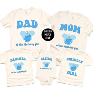 Cinderella Birthday Girl Princess Shirt, Family Matching Gift for Daughter Kid Toddler Themed Party Tee Minimal For Her Pastel Sweatshirt