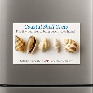 Coastal Shell Crew Magnet Set | Beach Seashell Fridge Magnets | Coastal Nautical Home Decor | Handmade Ocean Magnets | Beach House Gift