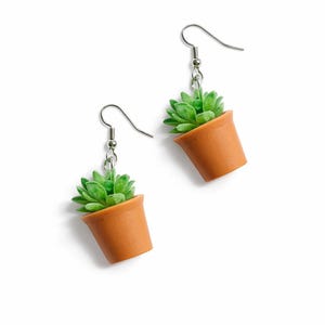 May include: A pair of earrings featuring miniature succulent plants in terracotta-colored pots. The green succulents have textured leaves, and the earrings hang from silver-colored fish hook ear wires. The earrings are set against a white background.