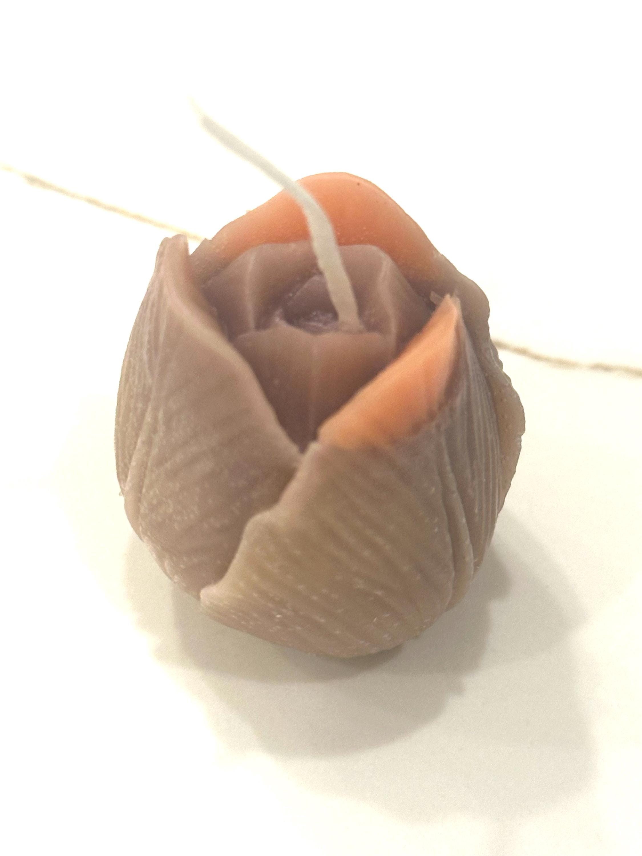 ブルームライトチューリップキャンドル - Etsy 日本