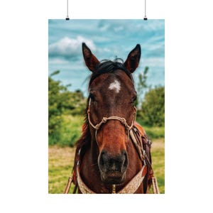 Equestrian Horse Poster: Rustic Farmhouse Wall Art
