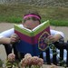 Digital Crochet Pattern for a Book Cover Cozy - Etsy