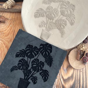 May include: A light-colored, round ceramic plate and a dark gray square tile, both featuring a detailed relief of a potted Monstera plant. The plate has a textured surface, while the tile has a smooth finish. The design is a botanical theme.