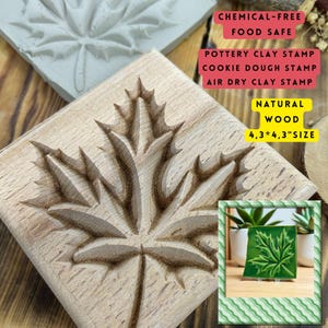 Op de afbeelding: Een houten stempel met een uitgesneden esdoornbladontwerp. De stempel is 11 x 11 cm groot en is geschikt voor klei, koekjesdeeg en luchtdrogende klei. De tekst op de afbeelding luidt "CHEMISCH VRIJ, VOEDSELVEILIG".