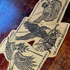 Scientific Bird Linocut Sew-On Patch, patches, cute bird patch, robin, blue jay, crow, lino, linocut, lino patches