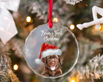 Custom Watercolor Ornament From Photo, Pet First Christmas Ornament, Keepsake Gift For Dog Lover, 1st Xmas Remembrance Gift For Cat Lover
