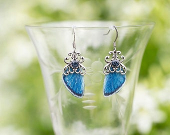 eastern blue butterfly mini Wing earrings