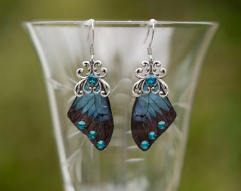 blue morpho butterfly mini Wing earrings