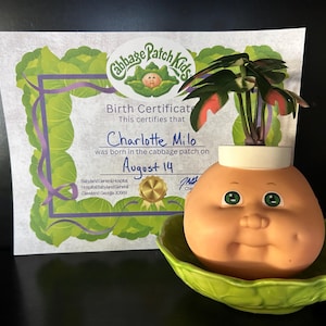 May include: A Cabbage Patch Kids planter with a plant, set in a green leaf-shaped dish. A birth certificate reads "Charlotte Milo was born in the cabbage patch on August 14".