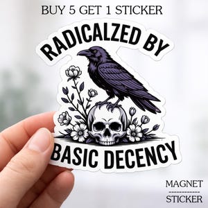 Radikalisiert durch Grundlegende Anstand Aufkleber/Magnet, politische Aktivistin Vinyl Aufkleber, feministische Zitat Aufkleber, wasserdichte Laptop Wasserflasche Geschenk