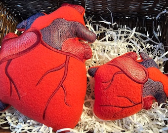 Anatomical Plush Heart - 2 Sizes!