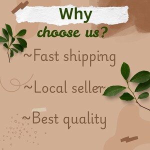 May include: A beige background with the text "Why choose us?" in green and brown. The text is accompanied by the phrases "Fast shipping", "Local seller", and "Best quality". Green leaves are placed on the top left and bottom right.
