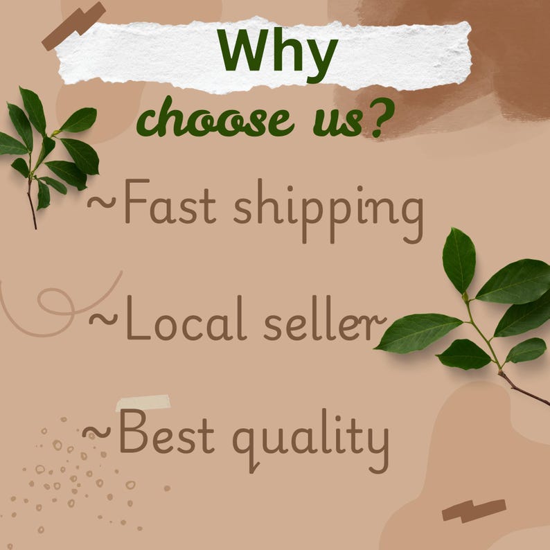 May include: A beige background with the text "Why choose us?" in green and brown. The text is accompanied by the phrases "Fast shipping", "Local seller", and "Best quality". Green leaves are placed on the top left and bottom right.
