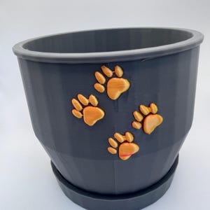 Self Watering Indoor Planter