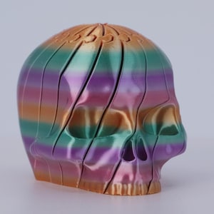 May include: A colorful, segmented skull sculpture. The skull is divided into vertical sections and features a gradient of colors, including green, purple, orange, and gold. The design is a unique and artistic representation of a skull.