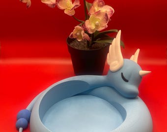 3D Printed Dragonair Tray