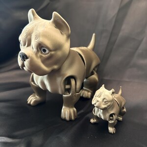 American Bully with Pup