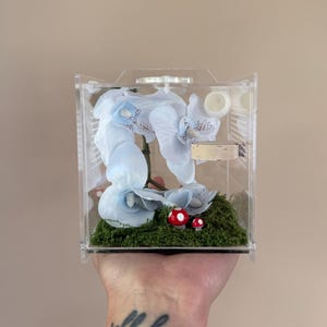 Orchid Jumping Spider Enclosure: Mossy Base, Silk Hide - Beginner Friendly