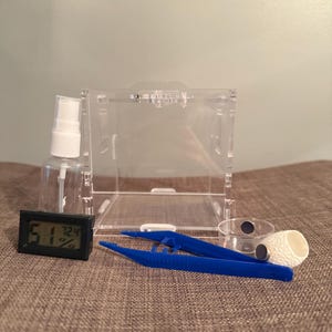 Kit de inicio para arañas saltadoras: hábitat completo para crías con recinto, higrómetro, pinzas, bebedero, piel de seda y comedero.
