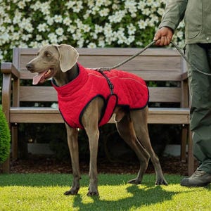 Thickened Winter Dog Coat, Reflective Waterproof Dog Jacket, Outdoor Pet Clothes for Large & Medium Dogs, Windproof Dog Rain Gear