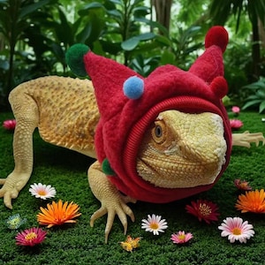 Custom Iguana Clothing Cotton Lizard Sweater Small Pet Outfit Cozy Reptile Jacket for Cool Days Bearded Dragon Wear