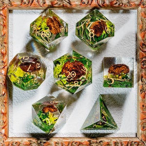 Puede incluir: Un conjunto de dados de resina hechos a mano con temática de la naturaleza, presentados en un marco de madera. Cada dado presenta una seta marrón y musgo verde encapsulados en resina transparente. Los dados son de varias formas geométricas con numeración dorada.