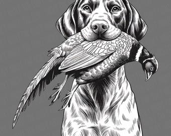 Hunting Dog PNG | Upland Bird PNG | Bird Dog PNG | Pheasant Hunting Png | Bird Hunting Png | Hunting Season Png | German Shorthair