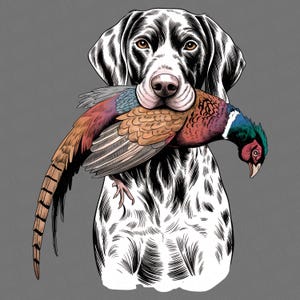May include: Black and white illustration of a dog with brown eyes holding a colorful pheasant in its mouth. The pheasant has red, blue, and brown feathers. The dog has black spots and markings.