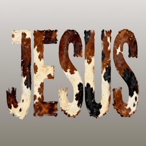 K&ouml;nnte beinhalten: Das Wort "JESUS" wird in einer fetten, strukturierten Schriftart dargestellt. Die Buchstaben sind so gestaltet, dass sie wie Kuhfell aussehen, mit einer Mischung aus braunen, schwarzen und cremefarbenen Flecken. Der Hintergrund ist einfarbiges, neutrales Grau.
