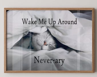 Cat Nap-Cute little kitty, fast asleep