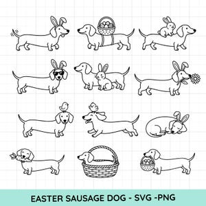 Può includere: Illustrazioni in bianco e nero di bassotti con temi pasquali. I cani sono raffigurati con orecchie da coniglio, trasportano cestini pasquali e interagiscono con uccelli e conigli. Il testo "EASTER SAUSAGE DOG - SVG - PNG" è in basso.