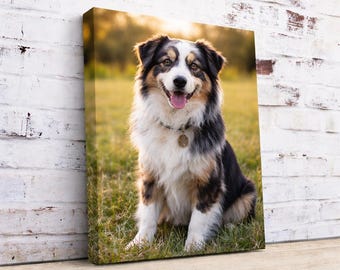 Anpassad canvastavla med hundfoto, väggkonst för husdjursporträtt, redo att hängas, canvastavla med fotografi