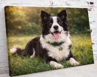 Hundfoto Canvastavla, Personlig Husdjursväggkonst, Anpassad Kvadratisk eller Landskapscanvas, Premium Canvastavla, Unik Gåva