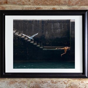 Fotografia artistica "Volo sul molo"; scattata nel porto di Essaouira. Stampata su carta fine art
