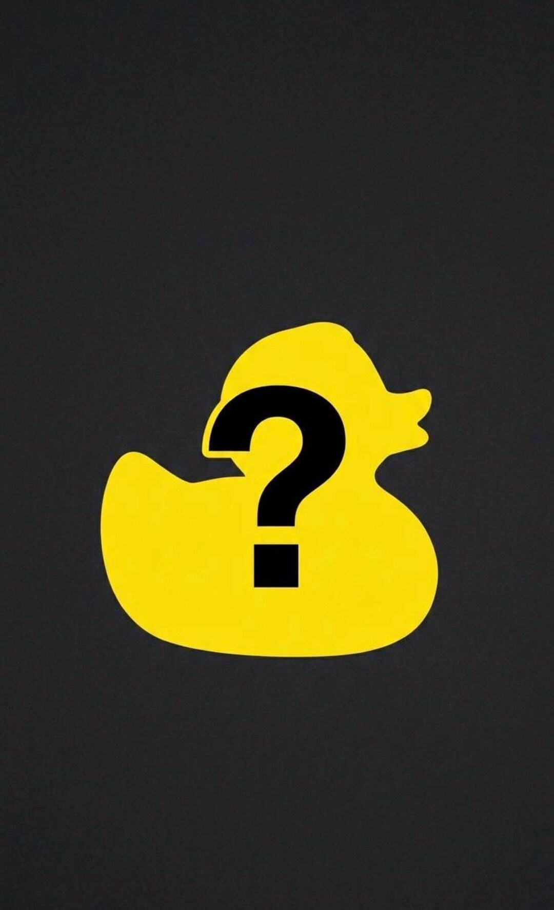 Custom Designed Duck Toy / for 5+ Orders Only – Message Us Your Design ...